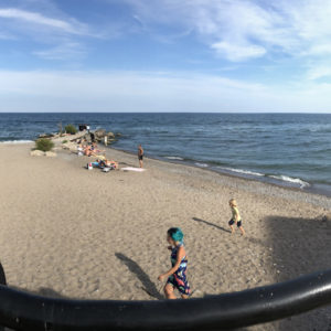 Beach Rail (Panoramic)