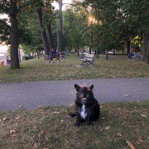 Empty Bench