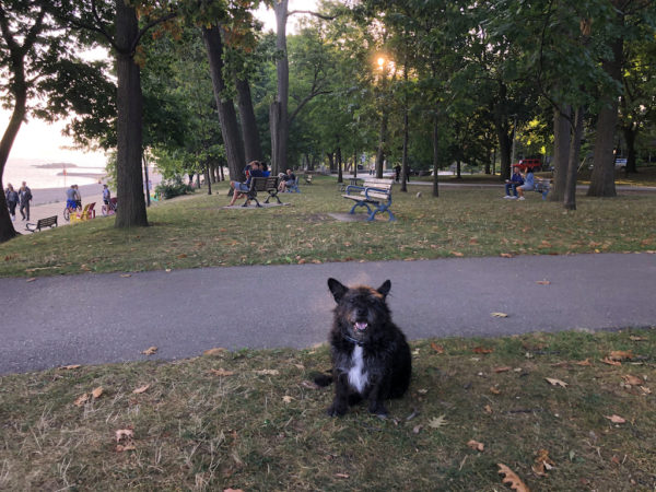 Empty Bench